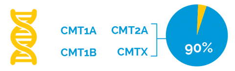Types of CMT | CMT Research Foundation