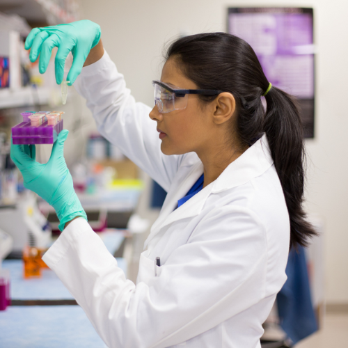 Chats with CMT Research Experts