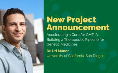 New Study at UC San Diego Aims to Identify Best Genetic Treatment for CMT2A