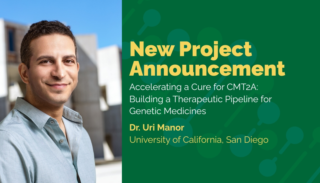 New Study at UC San Diego Aims to Identify Best Genetic Treatment for CMT2A